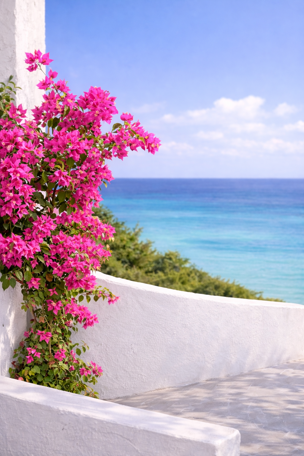Bougainvillea in bloom with Aegean Sea view